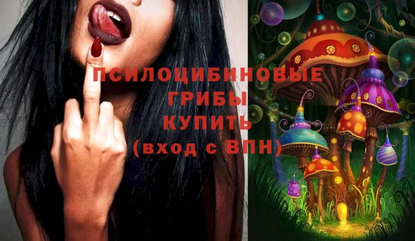 шишки Богородск