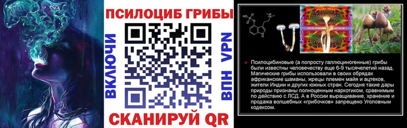 Псилоцибиновые грибы Magic Shrooms  Кизилюрт 